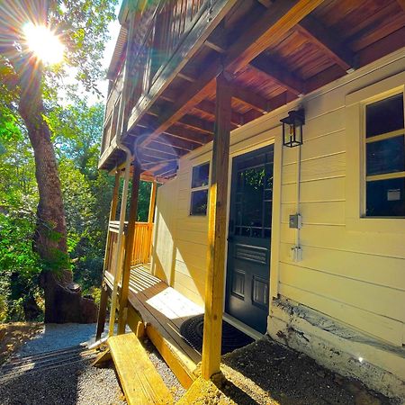 Private Wine Country-River Bungalow! Sunny Treetop Views - Pets Stay Free Forestville Exterior foto